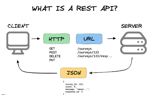 access Web API in C# asp.Net